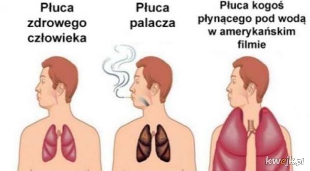 Płuca…