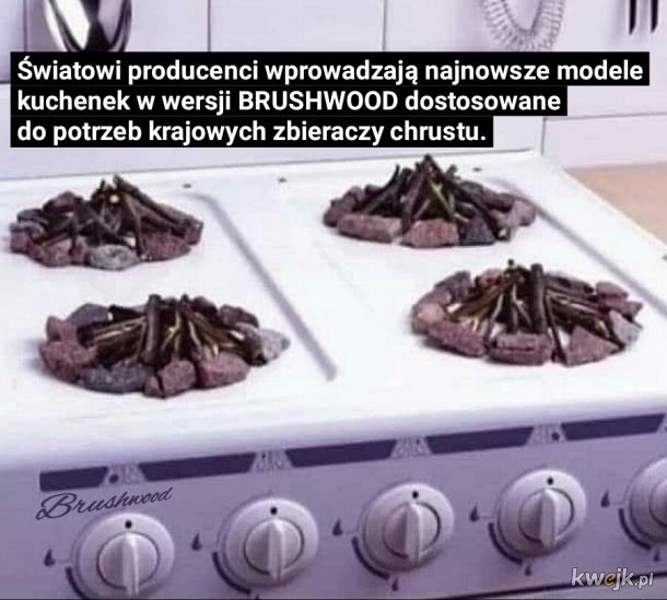 Brushwood Cooker