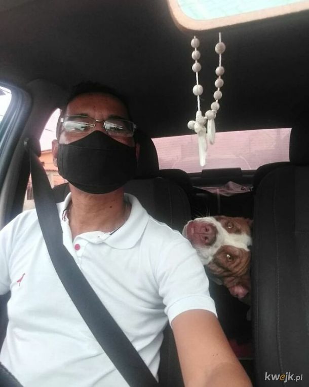 Selfie, które zrobił sobie taksówkarz ze swoimi psimi pasażerami, obrazek 9