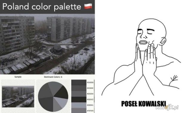 Zbiór tęczowych memów z okazji odklejenia Janusza Kowalskiego, obrazek 18