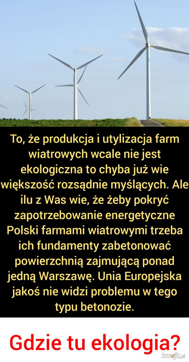 Kolejny problem farm wiatrowych