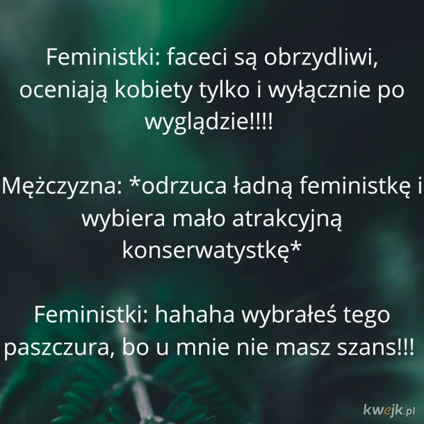 Logika feministek...
