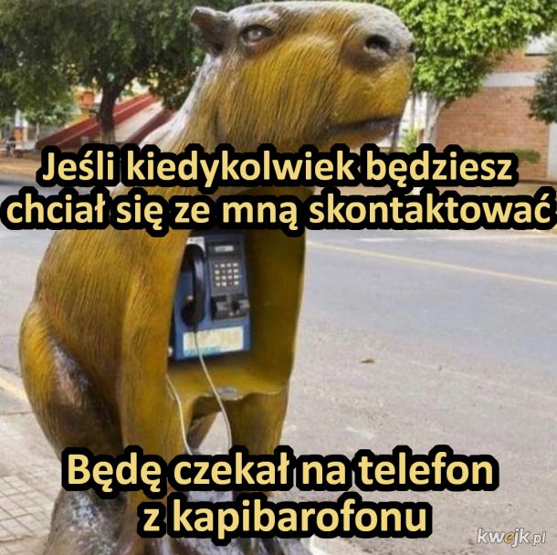 Kapibarofon