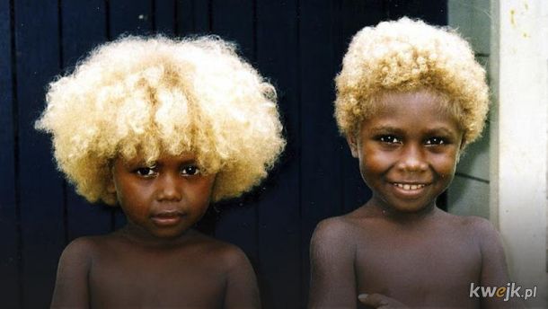 Mieszkańcy Wysp Salomona z ciemna skórą i blond włosami.  Więcej Info w komentarzach.