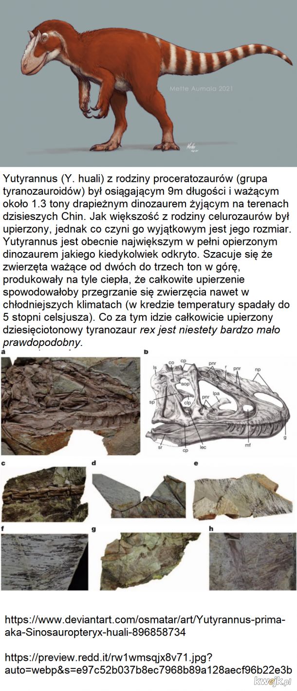 Ciekawostki i nowinki ze świata paleontologii część 1: Yutyrannus i upierzenie