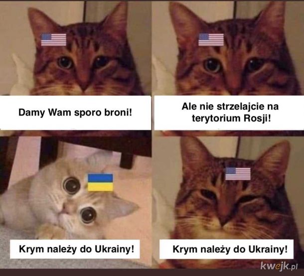 Krym należy do Ukrainy