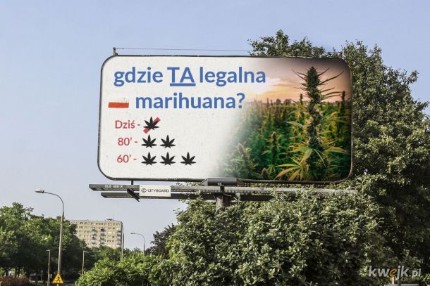 Gdzie ta legalizacja?