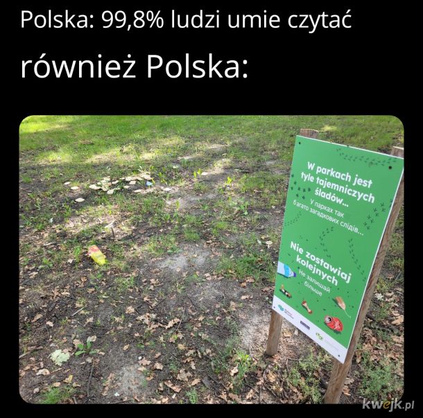 Park we Wrocławiu