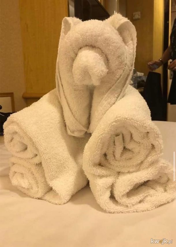 Kiedy miałeś tylko przygotować ręczniki dla gości, ale masz duszę artysty