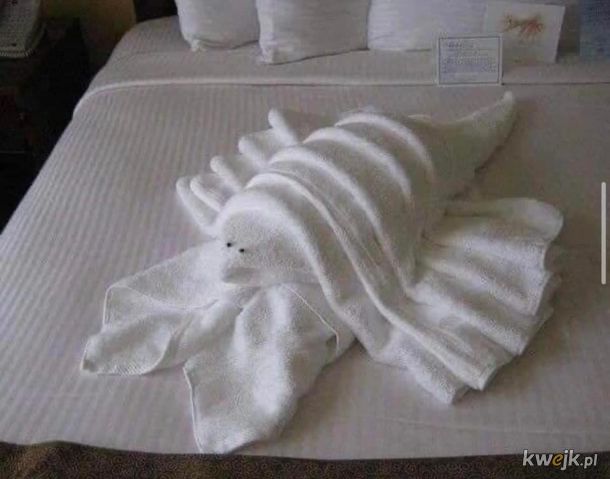 Kiedy miałeś tylko przygotować ręczniki dla gości, ale masz duszę artysty