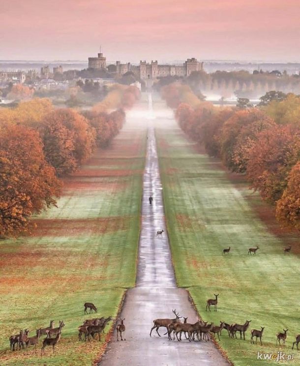 Droga na Zamek w Windsorze