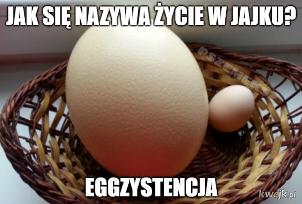 Ale jaja