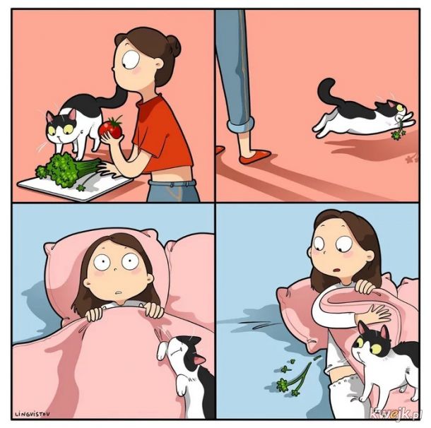 Z życia kotów i ich właścicieli, obrazek 2