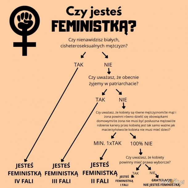 Czy jesteś feministką?