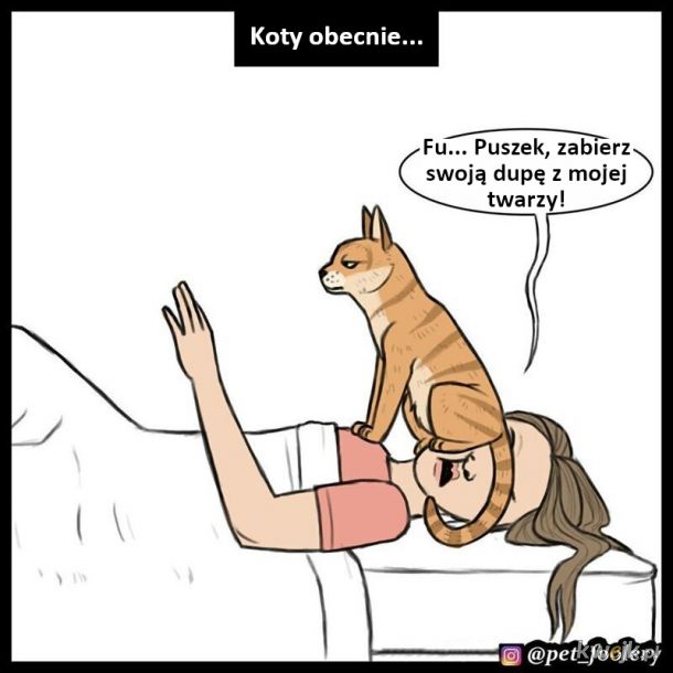 Humorystyczne komiksy o kotach, obrazek 3