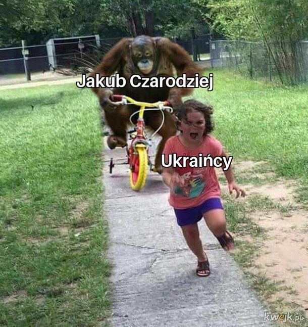 Nawoływanie do odstrzału Ukraińców od Czarodzieja.. Nowe nie znałem