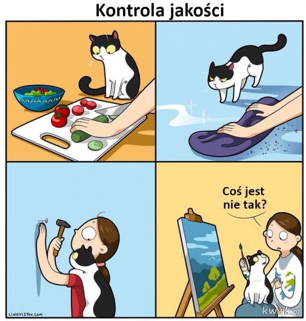 Z życia kotów i ich właścicieli, obrazek 7