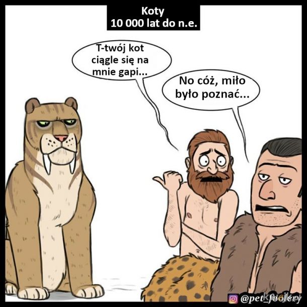 Humorystyczne komiksy o kotach, obrazek 8