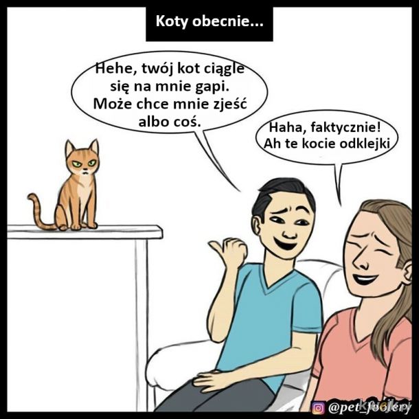 Humorystyczne komiksy o kotach, obrazek 7
