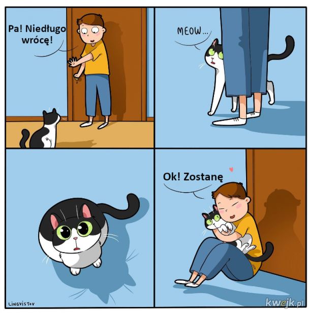 Z życia kotów i ich właścicieli, obrazek 11