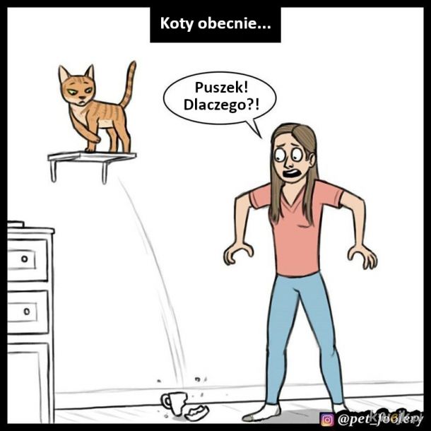 Humorystyczne komiksy o kotach, obrazek 5