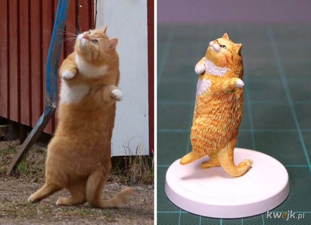 Japoński artysta stworzył rzeźby na podstawie zabawnych memów ze zwierzętami, obrazek 23