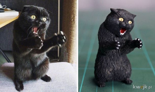 Japoński artysta stworzył rzeźby na podstawie zabawnych memów ze zwierzętami, obrazek 19