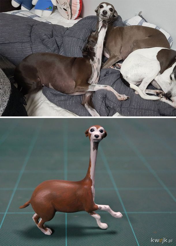 Japoński artysta stworzył rzeźby na podstawie zabawnych memów ze zwierzętami, obrazek 17