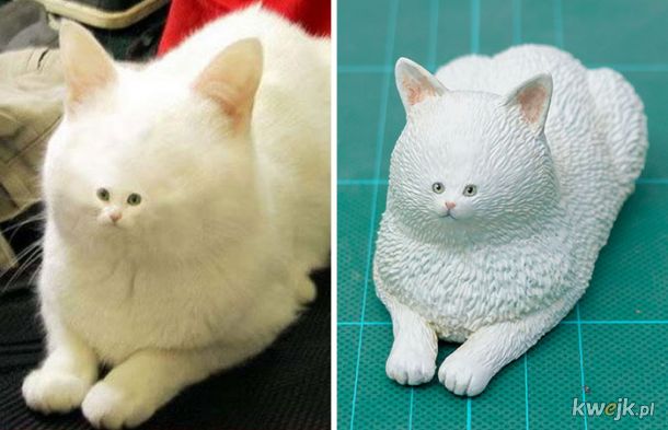 Japoński artysta stworzył rzeźby na podstawie zabawnych memów ze zwierzętami, obrazek 13