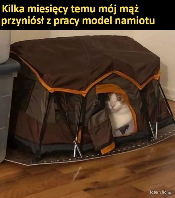 Namiot dla kotka