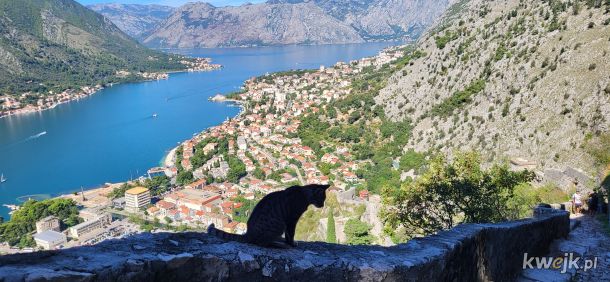 Koteł w Kotorze, Czarnogóra.