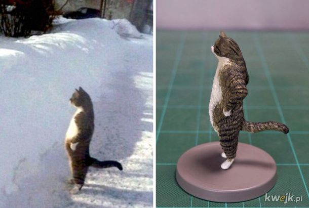 Japoński artysta stworzył rzeźby na podstawie zabawnych memów ze zwierzętami, obrazek 21