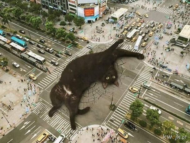 Gdyby świat zaatakowały gigantyczne kociaki