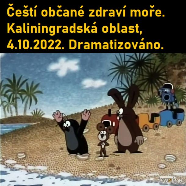 Czescy Obywatele witają się z morzem. Obwód kaliningradzki październik 2022. Dramatyzowane.