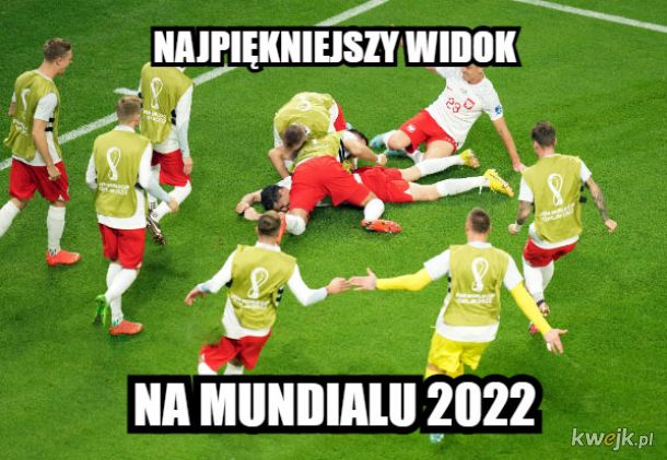 Memy po meczu Polska - Arabia Saudyjska, obrazek 9