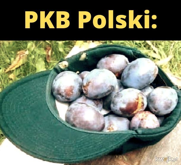PKB Polski.