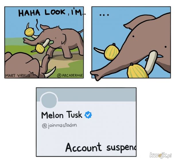 Melon Tusk