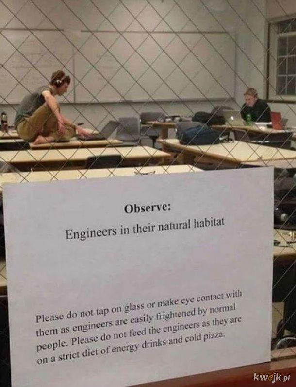 Płochliwi inżynierowie