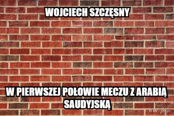 Memy po meczu Polska - Arabia Saudyjska