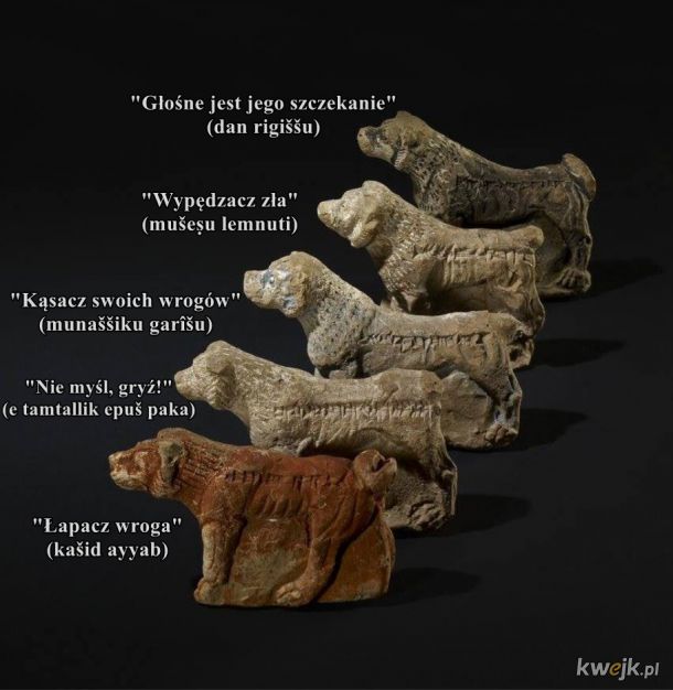 Asyryjskie gliniane figurki psów z wyrytymi imionami, datowane ok 650 r. p.n.e.