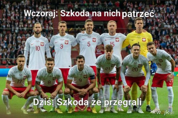 Memy po meczu Polska - Francja, obrazek 13