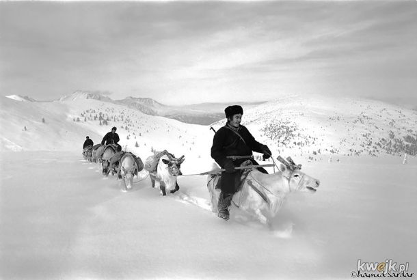 Kilka zdjęć pokazujących codzienne życie hodowców reniferów z Mongolii.