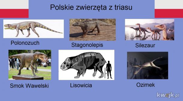 Prehistoryczna Polska