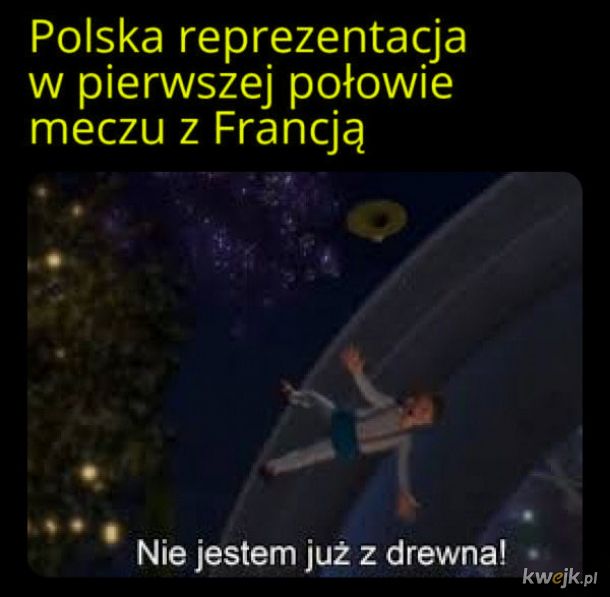 Memy po meczu Polska - Francja, obrazek 14