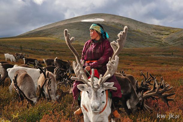 Kilka zdjęć pokazujących codzienne życie hodowców reniferów z Mongolii., obrazek 2