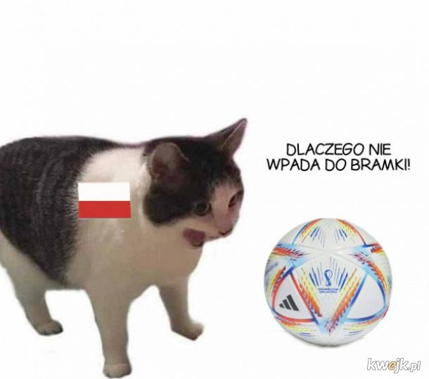 Memy po meczu Polska - Francja, obrazek 11