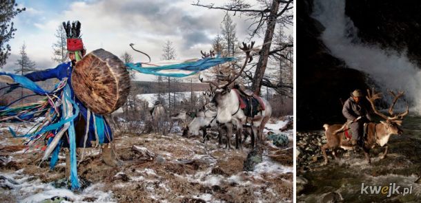 Kilka zdjęć pokazujących codzienne życie hodowców reniferów z Mongolii., obrazek 7