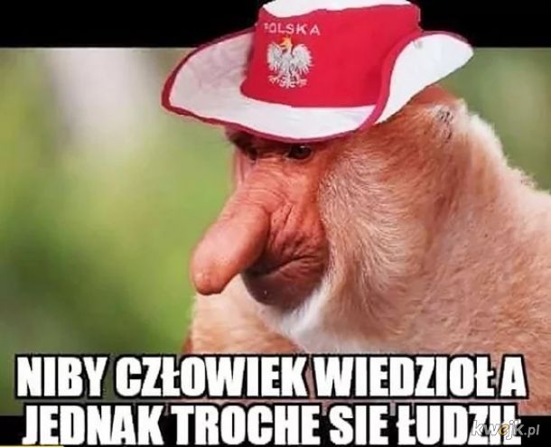 Memy po meczu Polska - Francja, obrazek 20