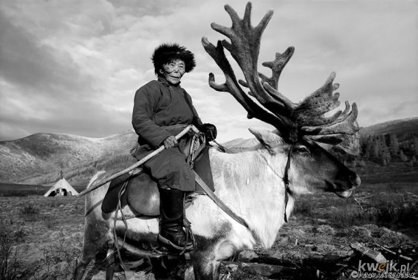 Kilka zdjęć pokazujących codzienne życie hodowców reniferów z Mongolii., obrazek 9