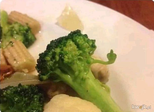 Kiedy nienawidzisz brokułów z wzajemnością